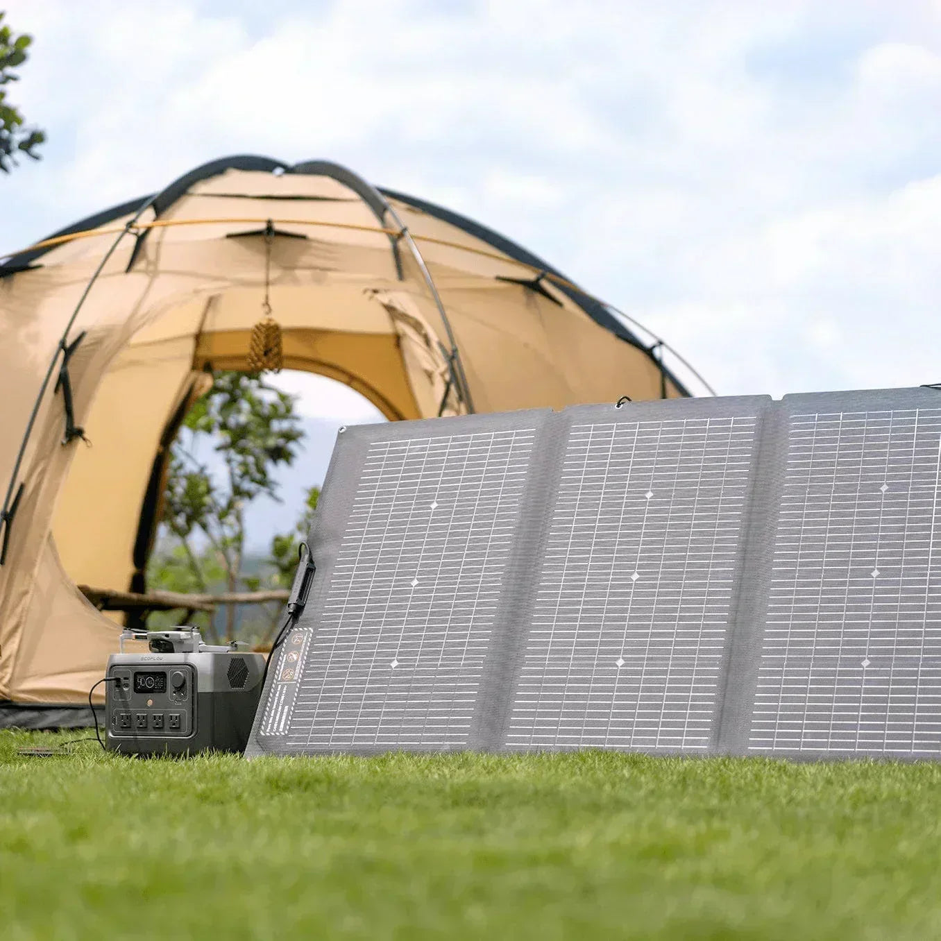 EcoFlow RIVER 2 Pro + 1*220W Portable Solar Panel