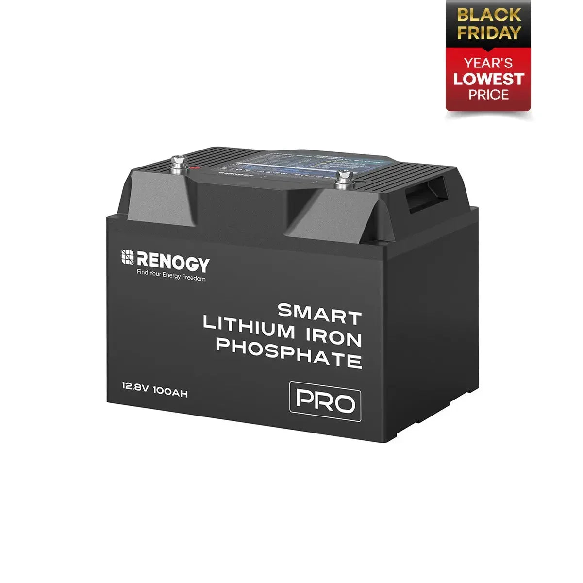 Renogy Pro - 12V 100Ah/200Ah Smart LiFePO4 Battery w/ Bluetooth & Self-Heating