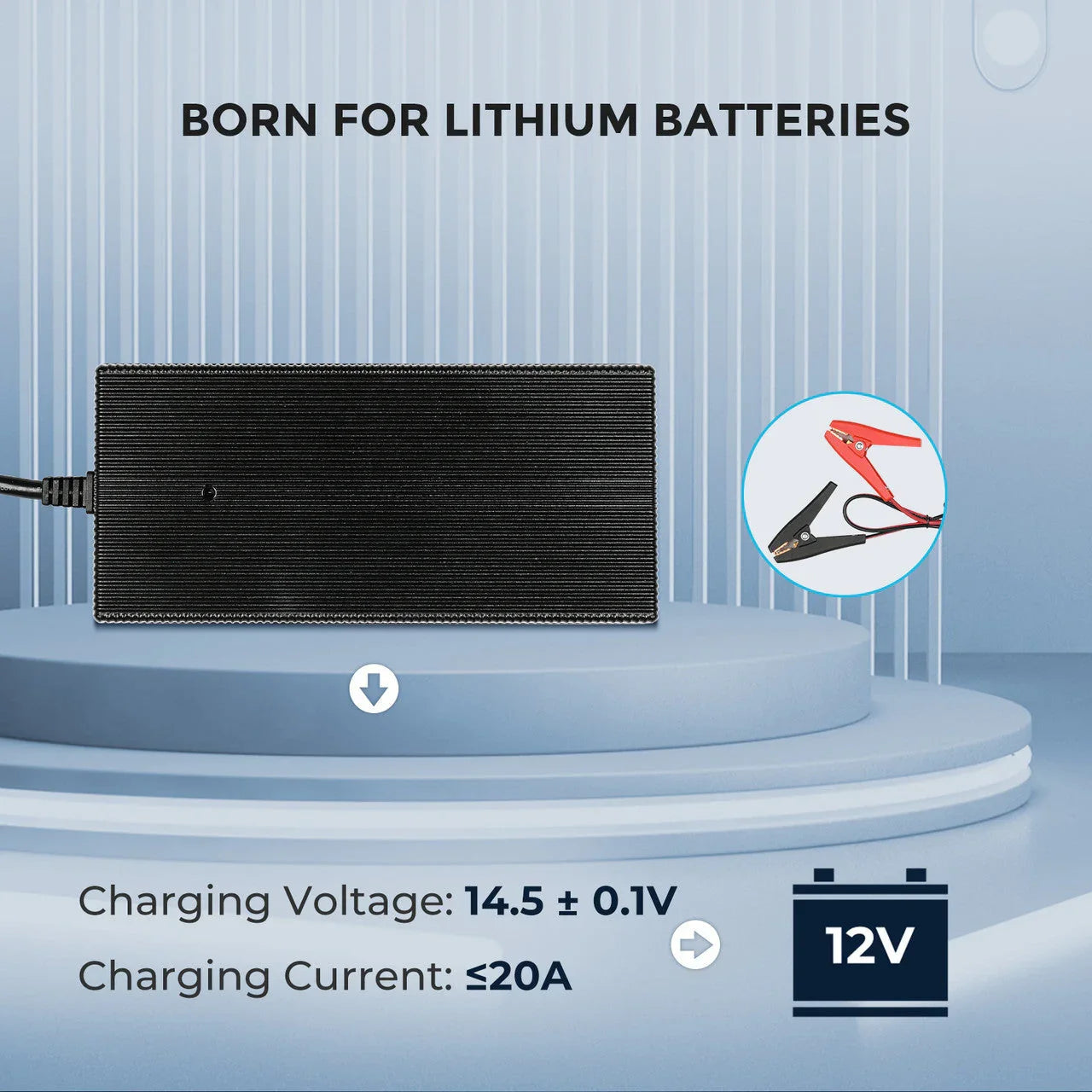 Renogy 12V 20A/24V 10A AC-to-DC LFP Portable Battery Charger