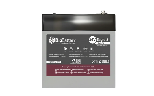 BigBattery 36V EAGLE 2 1.63 kWh LiFePO4 Battery with Heater and Comms