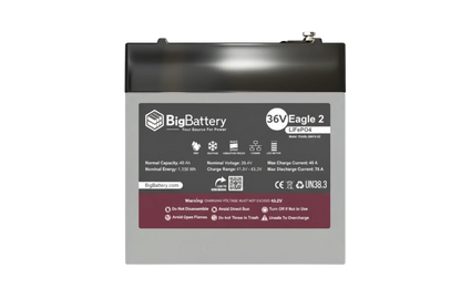 BigBattery 36V EAGLE 2 1.63 kWh LiFePO4 Battery with Heater and Comms