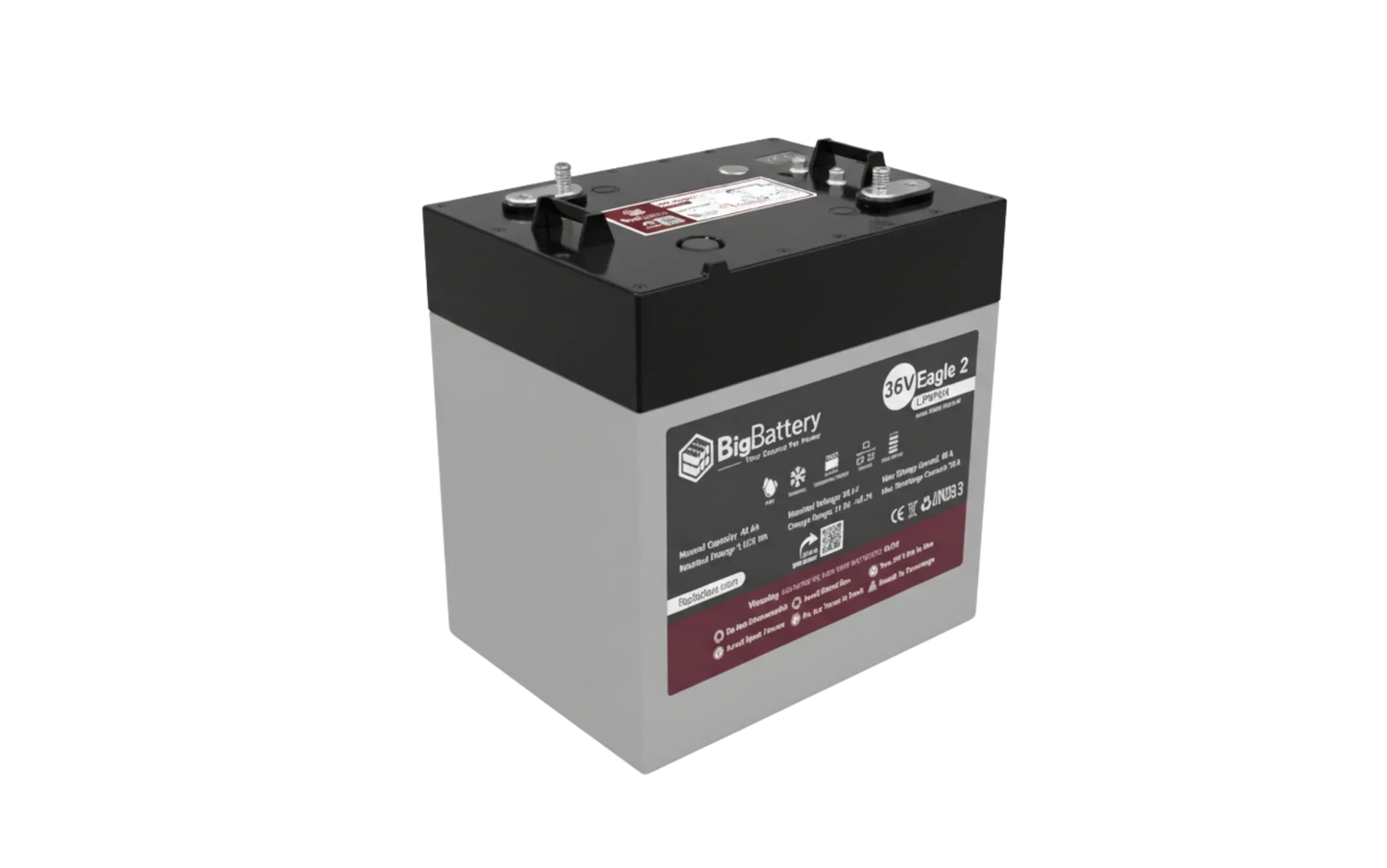 BigBattery 36V EAGLE 2 1.63 kWh LiFePO4 Battery with Heater and Comms