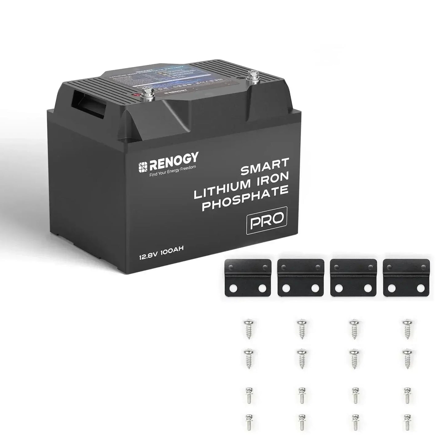 Renogy Pro - 12V 100Ah/200Ah Smart LiFePO4 Battery w/ Bluetooth & Self-Heating