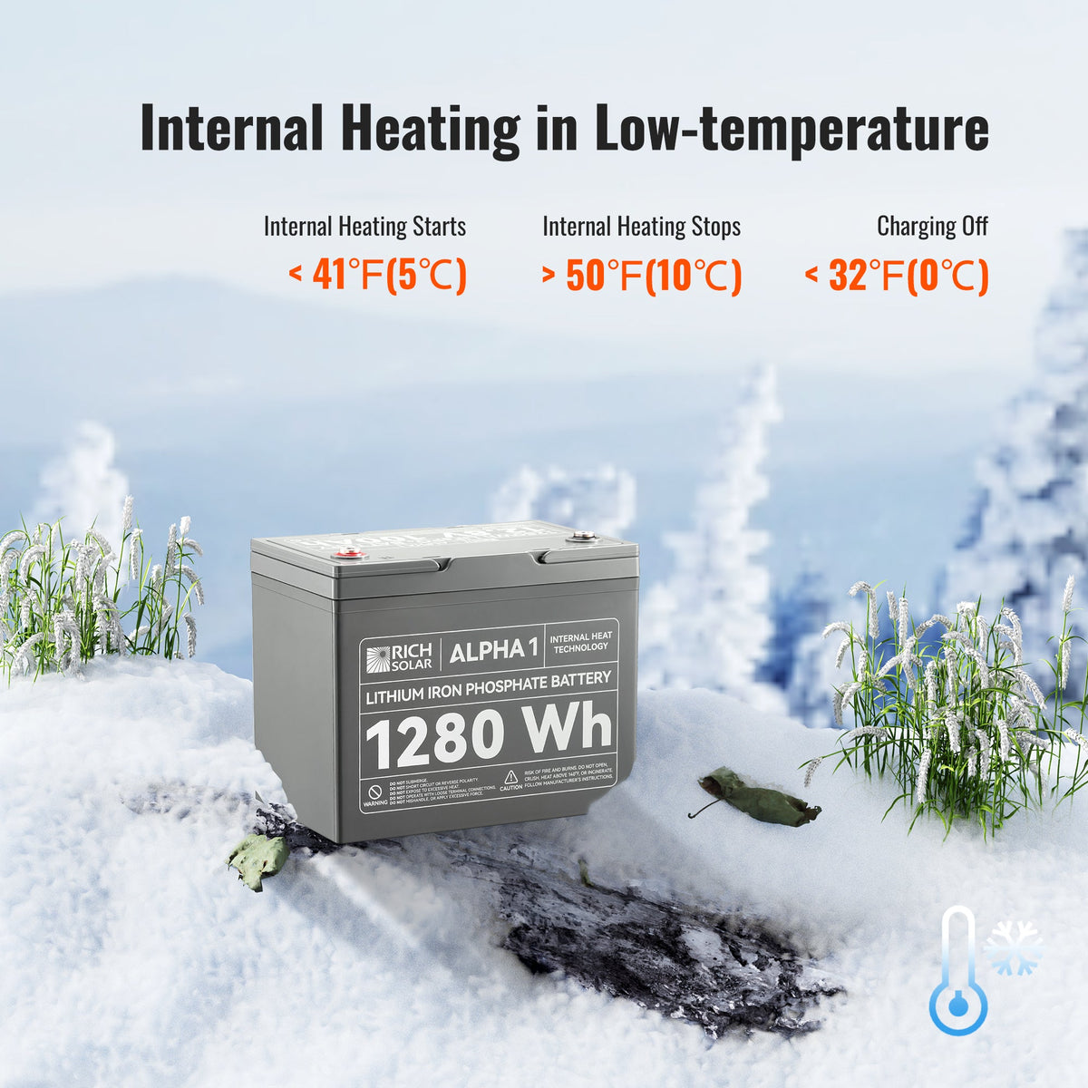 Rich Solar Alpha 1 12V 100Ah LiFePO4 Battery 1280Wh