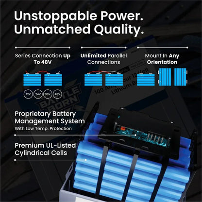 Battle Born 100Ah 12V LiFePO4 Deep Cycle Battery