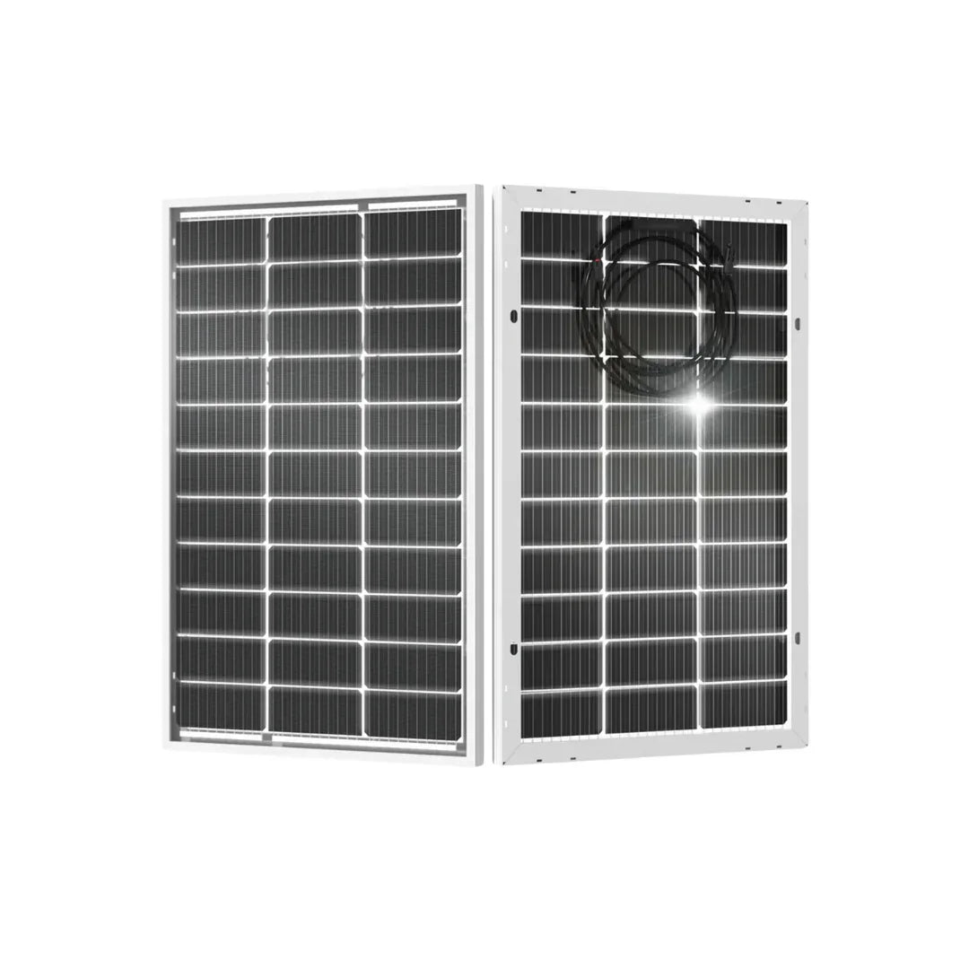 Eco-Worthy 100W Bifacial Solar Panel