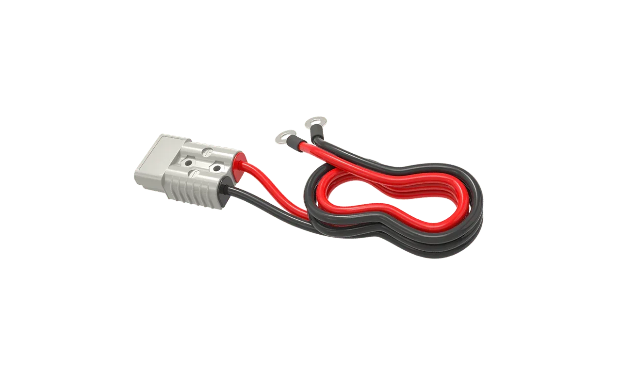BigBattery 48V 2X HUSKY 2 PWR FAST CHARGER KIT
